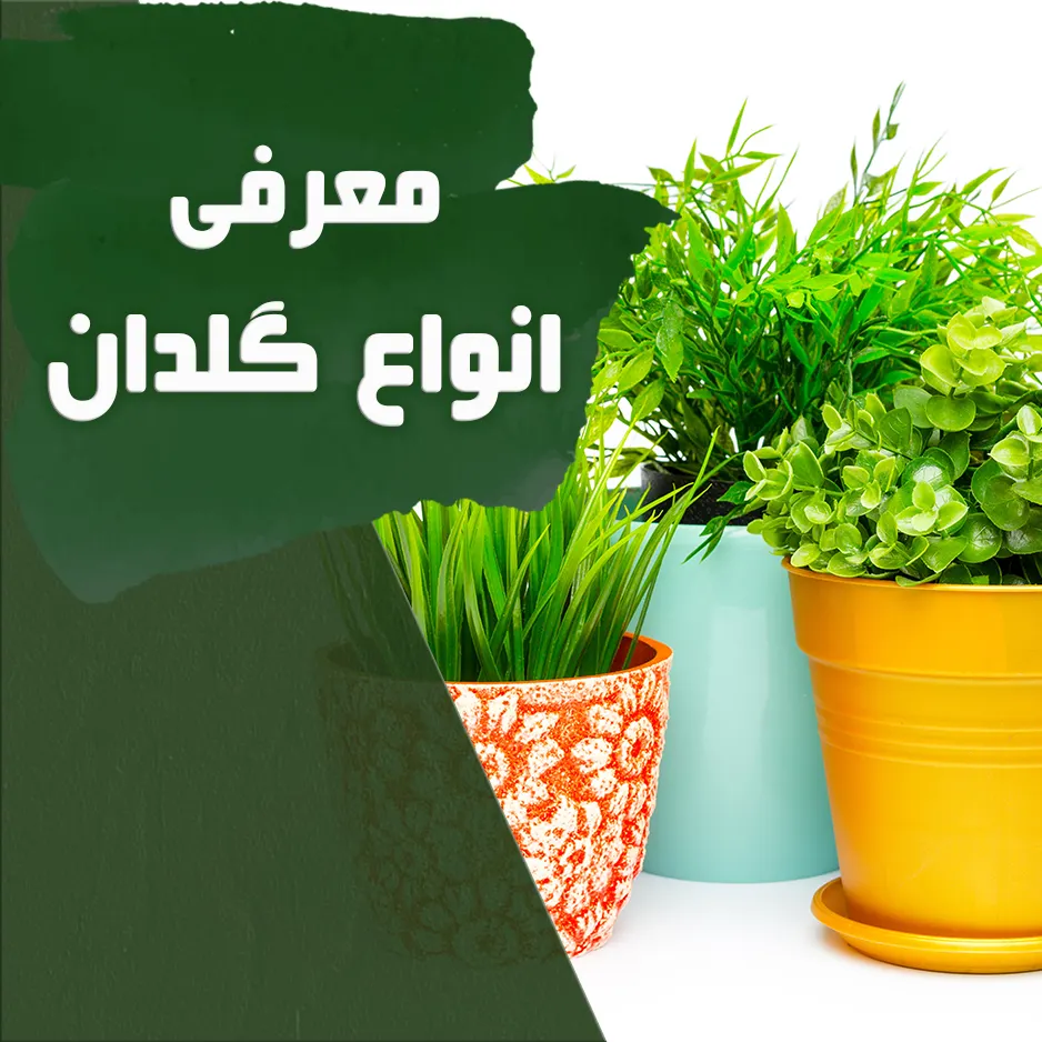 معرفی-مزایا-و-معایب-انواع-گلدان