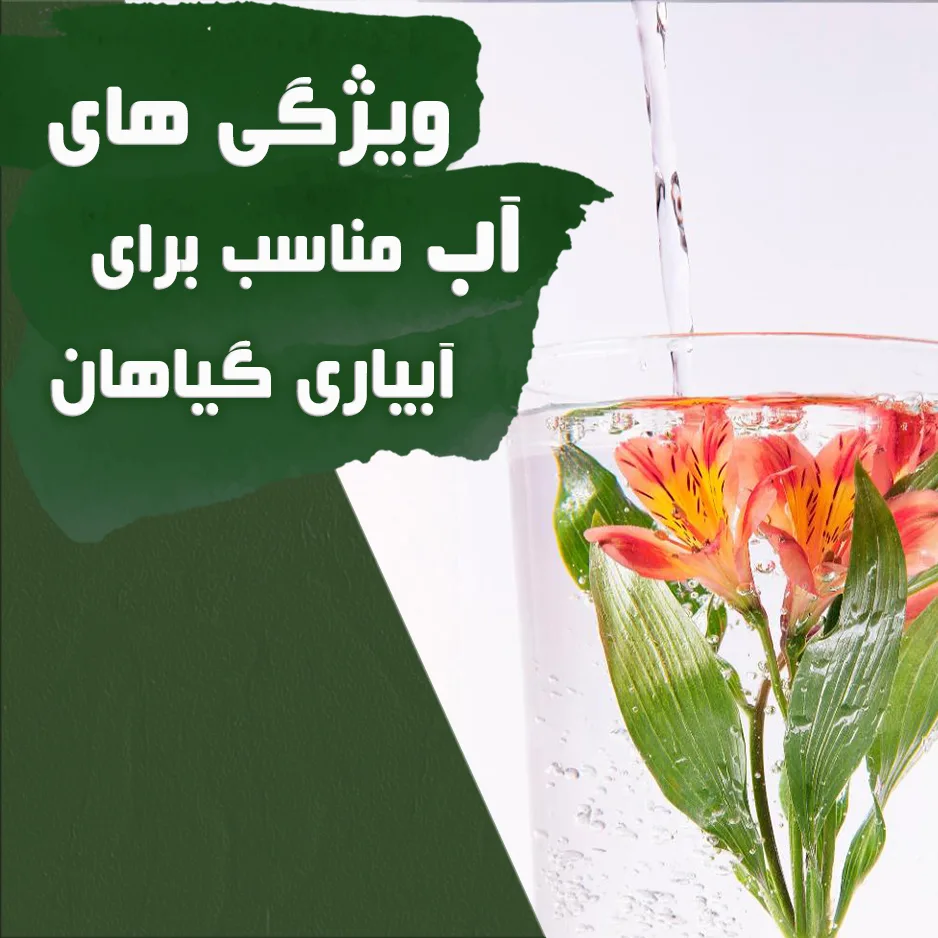 -مناسب-jpg (1)