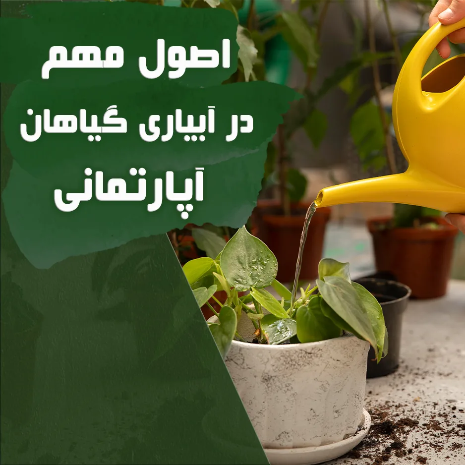 -مهم-در-آبیاری-jpg
