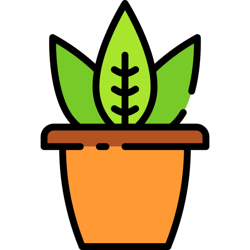 plant-pot